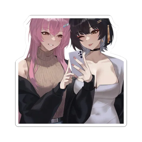Aemeath and Rover Selfie — Sticker sticker