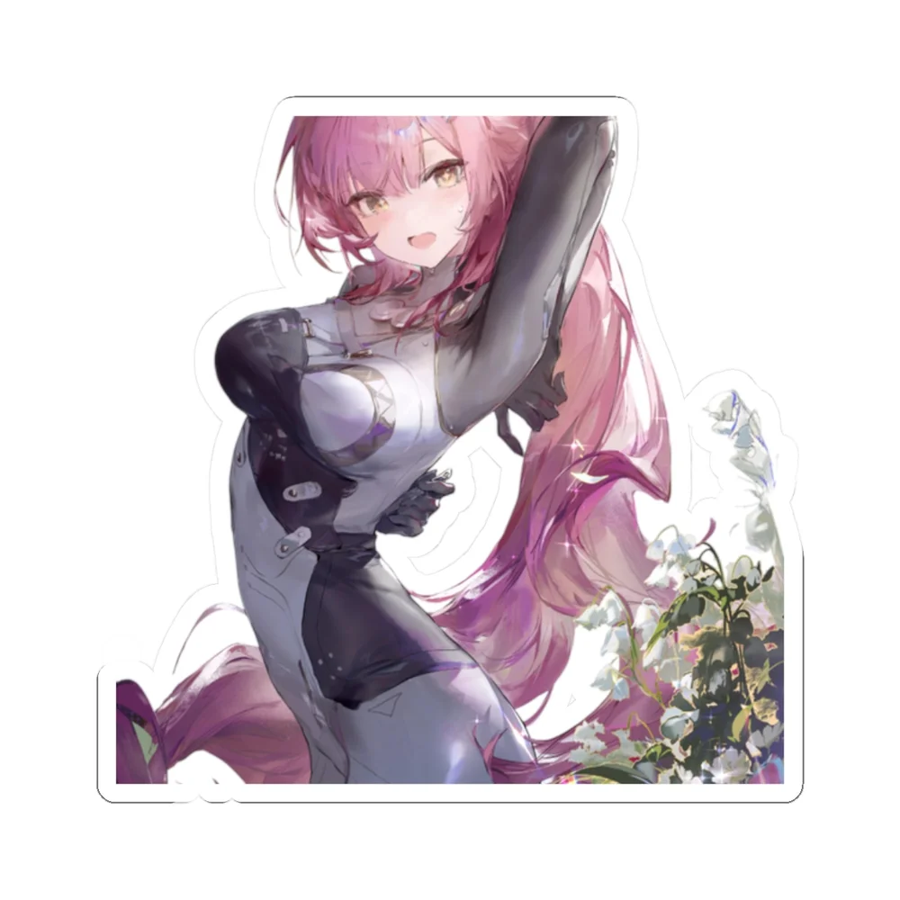 Aemeath Skin Tight Suit